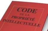 Image de l'article | Pour apprécier l’existence d’une contrefaçon les juges procèdent à un examen des similitudes entre les signes afin de déterminer l’existence d’un risque de confusion. Une demande nouvelle en appel sur le fondement de la concurrence déloyale est... | Lettre du numérique